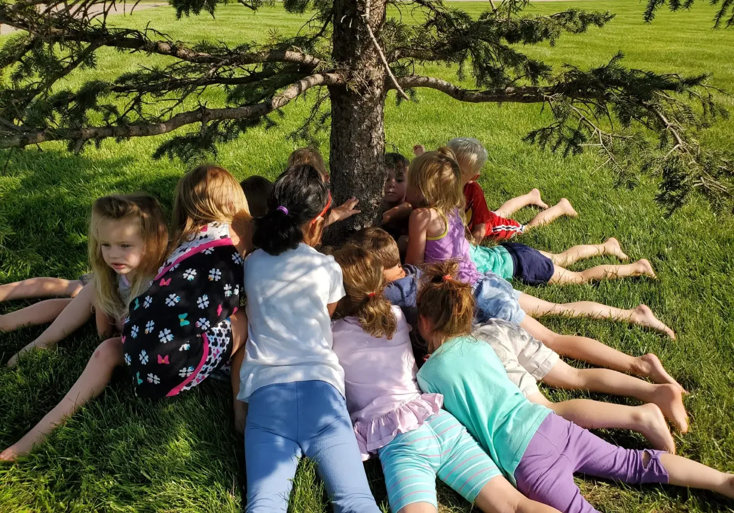 Children lying in a circle around a tree, smiling and playing outdoors.